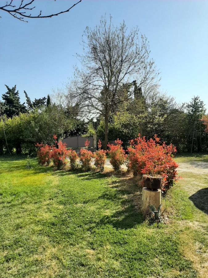 Gite De Charme Konuk evi Arles Dış mekan fotoğraf